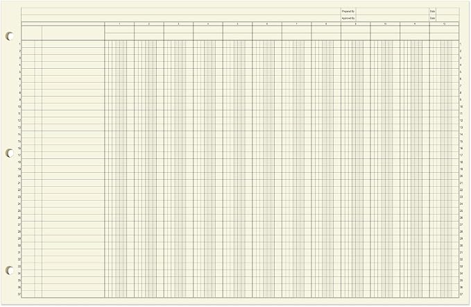 BookFactory Ledger Sheets/Large 12 Column Accounting Ledger Columnar Loose Leaf - Image 2