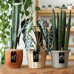 100 Pcs Waterproof Hanging Price Tags - Image 6