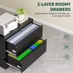 2 Drawer Lateral File Cabinet - Image 5