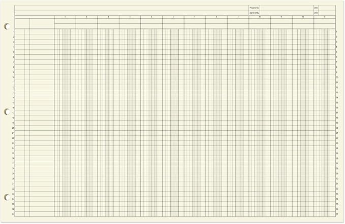 BookFactory Ledger Sheets/Large 13 Column Accounting Ledger Columnar Loose Leaf - Image 2
