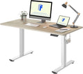 FLEXISPOT EN1 One-Piece Standing Desk by FlexiSpot