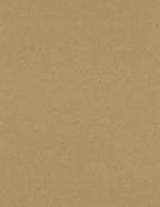LUXPaper 8.5" x 11" Paper | Letter Size | Grocery Bag Brown | 70lb. Text | 50 by LUXPaper