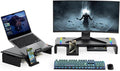 Heymaster Dual Monitor Stand for Desk, Gaming Monitor Riser by Heymaster