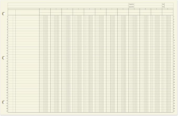 BookFactory Ledger Pad/Large 12 Column Accounting Ledger Columnar Pads - Image 2