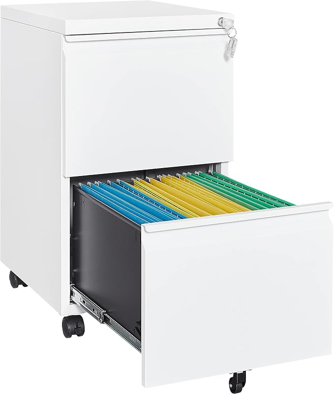 Fesbos 2 Drawer Vertical File Cabinet by Fesbos