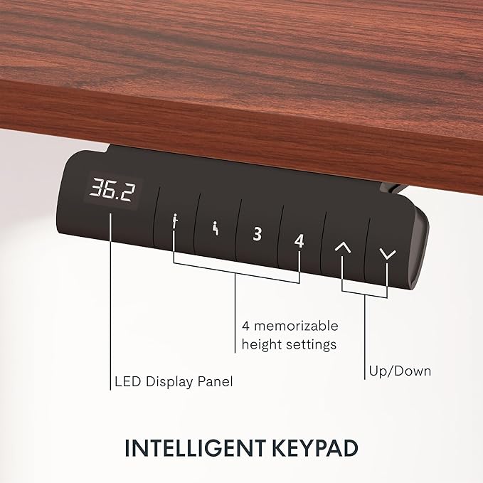 FLEXISPOT E6 3-Stage Dual Motor Electric Standing Desk 55 x 28 Sit Stand Up Desk - Image 3