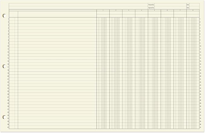 BookFactory Ledger Sheets/Large 8 Column Accounting Ledger Columnar Loose Leaf - Image 2