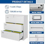 Fesbos Lateral File Cabinet - Image 6