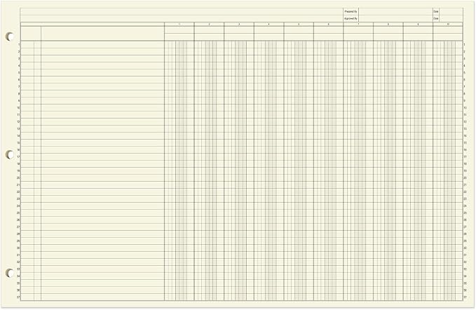 BookFactory Ledger Sheets/Large 10 Column Accounting Ledger Columnar Loose Leaf - Image 2