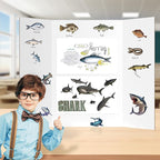 HAUTOCO 36'' x 48'' Trifold Poster Board 4 Pack Large Tri Fold Project Boards - Image 4