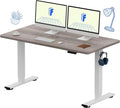 FLEXISPOT EN1 One-Piece Standing Desk by FlexiSpot