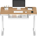 FLEXISPOT Electric Standing Desk by FlexiSpot