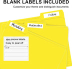File Folder, RAZCC 100 Pack 1/3 Cut Tab File Folders Letter Size, Folders - Image 4