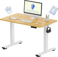 FLEXISPOT EN1 One-Piece Standing Desk by FlexiSpot