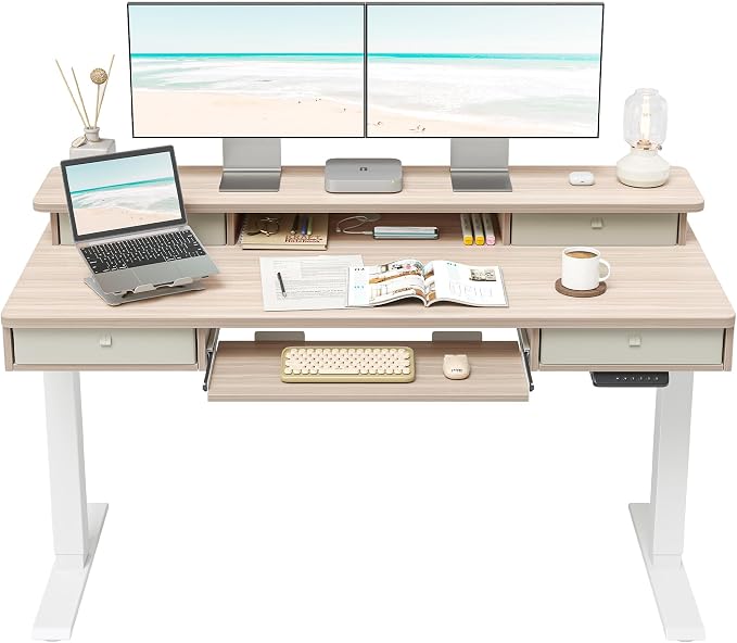 FEZIBO 55'' x 24" Height Adjustable Electric Standing Desk by FEZIBO
