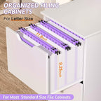 Nordun Extra Capacity Plastic Hanging File Folder Letter Size, 12 Pack - Image 3