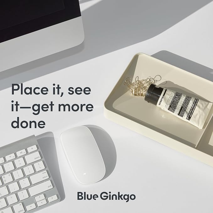 BLUE GINKGO Desk Tray – Korean-Made Organizer - Image 4