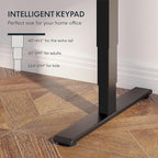 FlexiSpot E6 3-Stage Dual Motor Electric Standing Desk 48 x 30 Sit Stand Up Desk - Image 3