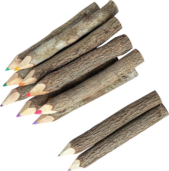 BSIRI Professional Coloring Pencils Assorted-Stick Twig Outdoor Colored Wooden by HB3FbyBSIRI