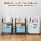 Marbrasse Rolling File Cart - Image 7