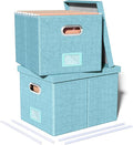 2 Pack File Storage Organizer by Oterri
