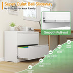 LONGLINK 2 Drawer Lateral File Cabinets - Image 4