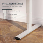 FLEXISPOT E6 3-Stage Dual Motor Electric Standing Desk 48 x 30 Sit Stand Up Desk - Image 5
