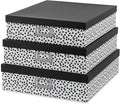 Soul & Lane Decorative Storage Boxes by SoulLane