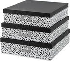 Soul & Lane Decorative Storage Boxes by SoulLane