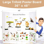 HAUTOCO 36'' x 48'' Trifold Poster Board 2 Pack Large Tri Fold Project Boards - Image 2