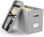 Oterri File Organizer with Lid, Hanging Filing Box with Mesh Pocket, Document by Oterri