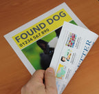 PPD Double Sided Photo Paper, Matte Brochure Paper 11 x 17 - Image 3