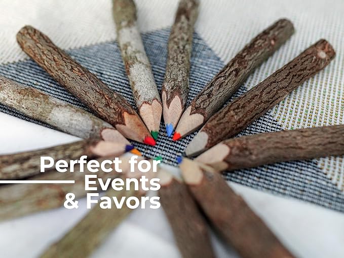 Assorted-Stick Twig Colored Outdoor Wooden Pencils Tree Child Camping - Image 3