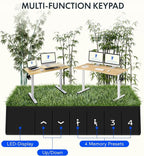 FLEXISPOT EN1 Bamboo Standing Desk, 48 x 24 Inches Whole-Piece Electric Height - Image 5