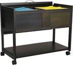 Safco Mobile File Cart, Fits Letter and Legal-Size Hanging Folders, Includes a by SafcoProducts