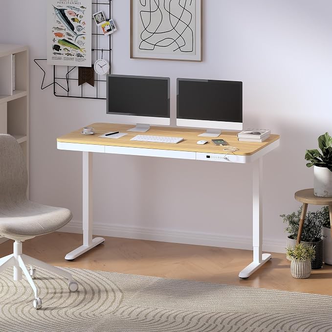 FLEXISPOT 55" Electric Standing Desk - Image 2