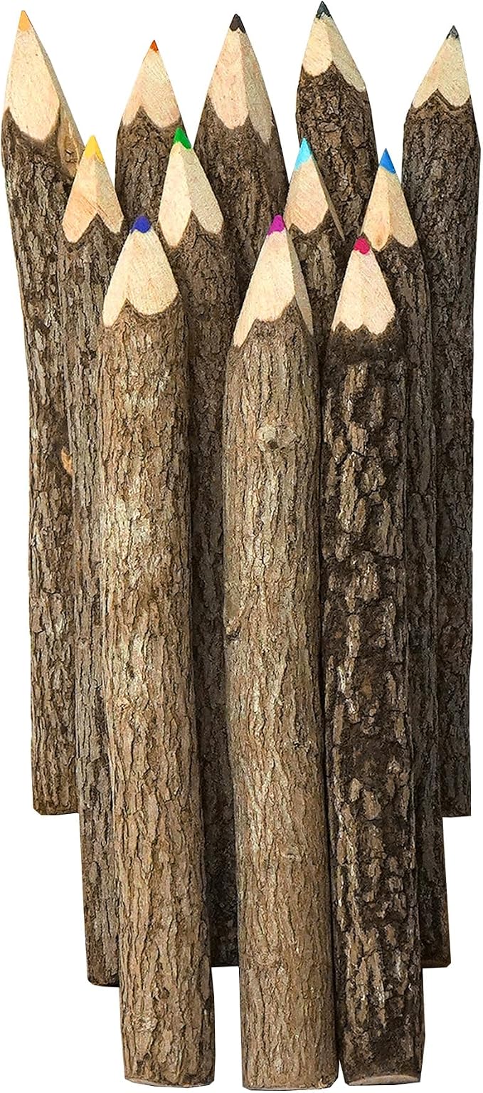 Assorted-Stick Twig Colored Outdoor Wooden Pencils Tree Child Camping by HB3FbyBSIRI