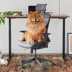 Anidaroel 36"x48" Chair Mat for Hardwood Floor/Tile Floor, Desk Chair Mat for - Image 6