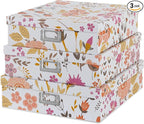 Soul & Lane Floral Collage Decorative Cardboard Boxes by SoulLane