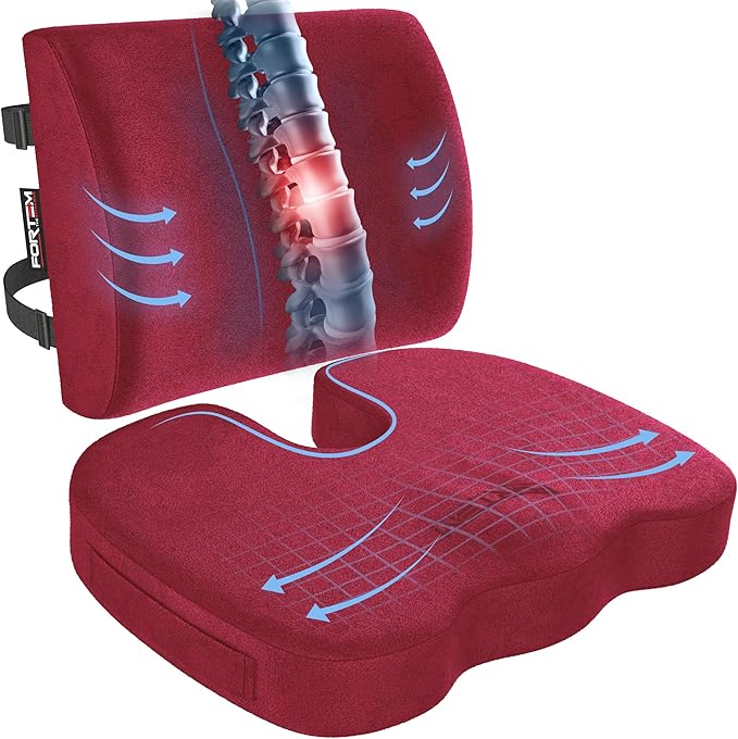 FORTEM Seat Cushion, Office Chair Cushion, Lumbar Support Pillow by FORTEM