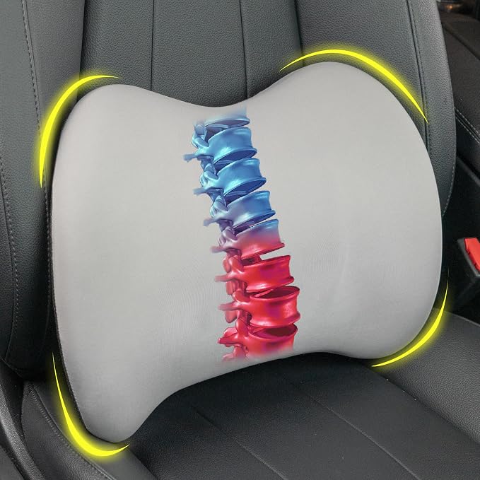 Lumbar Support Pillow for Car, Memory Foam Lumbar Pillow for Lower Back Pain by LoftyAim