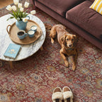 GENIMO 6x9 Area Rugs for Living Room, Machine Washable Non Slip Vintage Rugs - Image 3