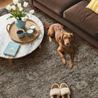 GENIMO 9x12 Area Rug Machine Washable Boho Rug - Image 3