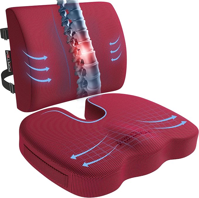 FORTEM Seat Cushion, Office Chair Cushion, Lumbar Support Pillow by FORTEM